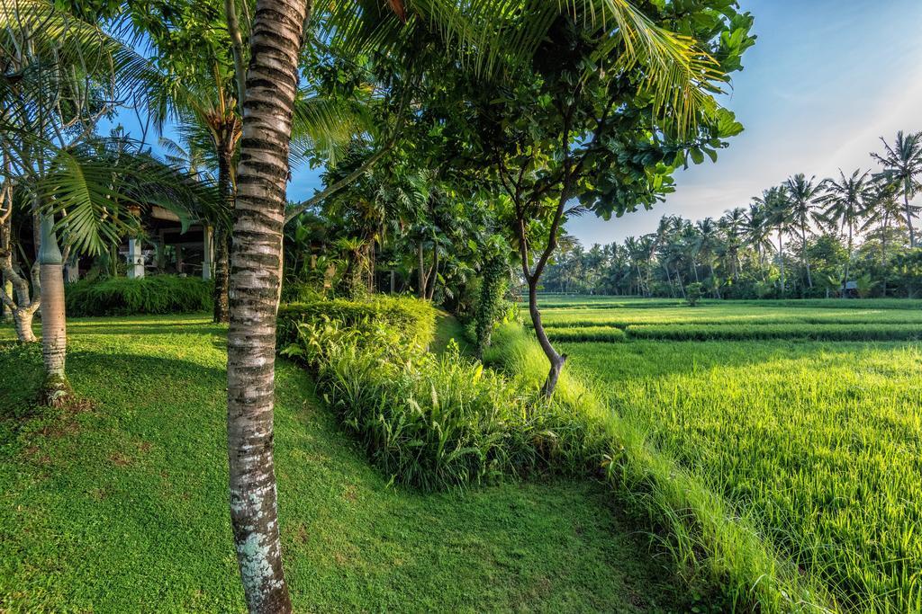 Villa Sabandari Ubud Kültér fotó